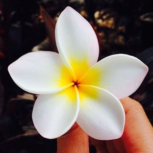 Meet your Posher, Chloe